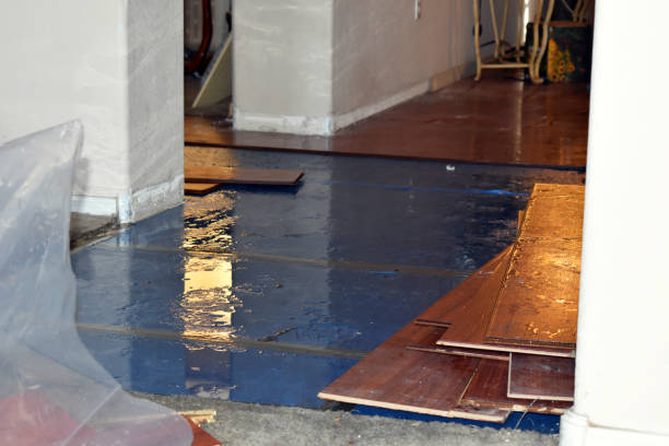 Professional Flood Cleanup technician working in Paradise, TX